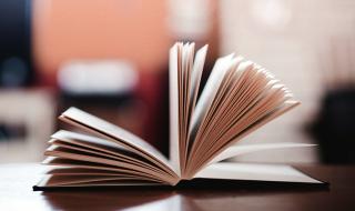 进门鞋柜装修效果图 进门鞋柜装修效果图