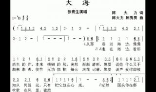 张雨生大海伴奏 张雨生大海伴奏