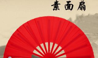 太极扇中国功夫 太极扇中国功夫