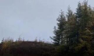 张家口霜冻来袭 张家口霜冻来袭