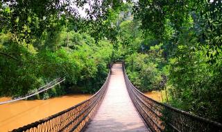 良凤江国家森林公园