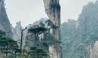 三清山巨蟒峰损毁案 三清山巨蟒峰损毁案