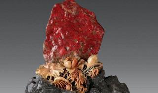 观看历史记录查看什么 观看历史记录查看什么