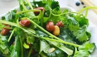 今天是世界讨厌香菜日 今天是世界讨厌香菜日