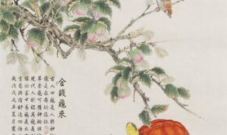 桃子老师和4个学生 桃子老师和4个学生