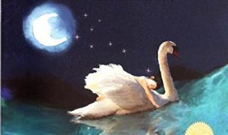 你拍一我拍一儿歌歌词 你拍一我拍一儿歌歌词