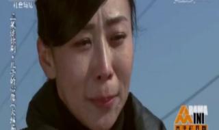 普法栏目剧回家全集 普法栏目剧回家全集