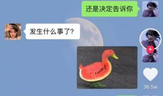 西嘎什么意思 西嘎什么意思