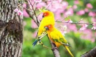 六九天是什么意思呢 六九天是什么意思呢