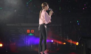 方力申邓丽欣演唱会